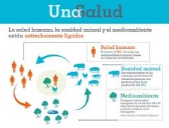 Sanidad Animal, Seguridad Alimentaria, vet+i, vetmasi, fundacion vetmasi, one health