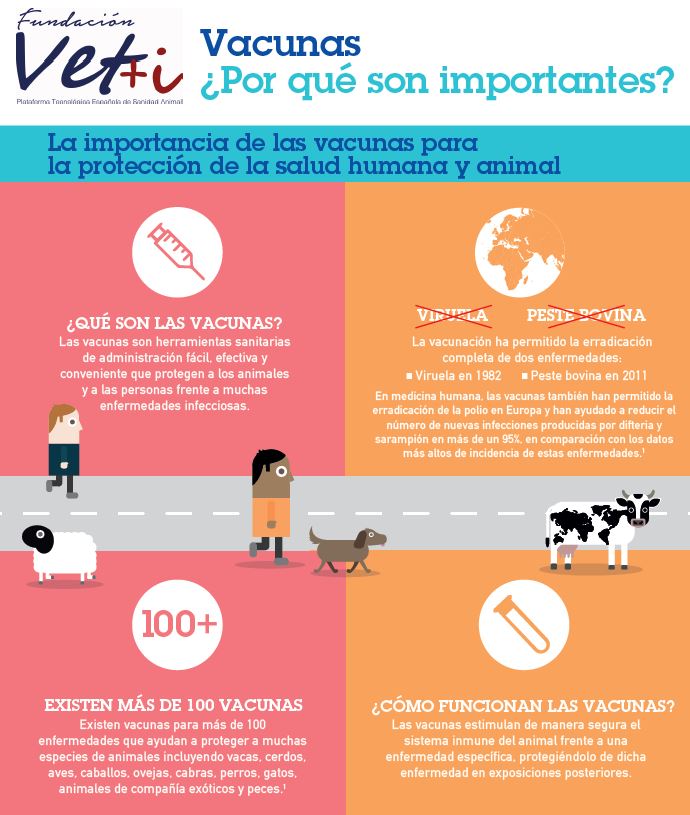 vacunas porque son importantes
