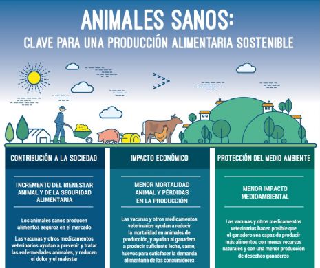 La Sanidad Animal como elemento esencial de la Seguridad Alimentaria