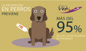 La vacunacin de los perros previene la aparicin de casos de rabia