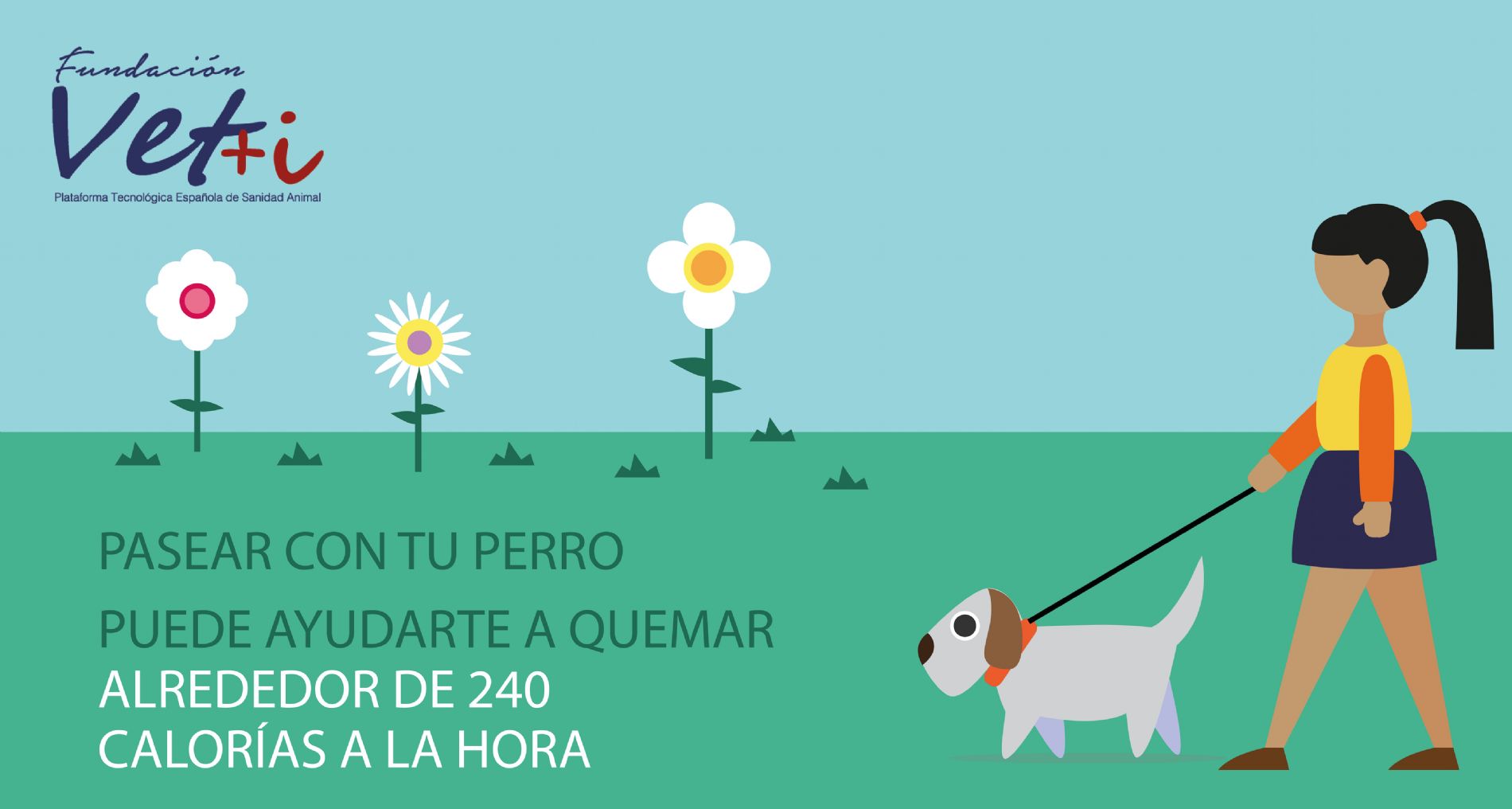 vetmasi, sanidad animal, animales de compaia, salud publica