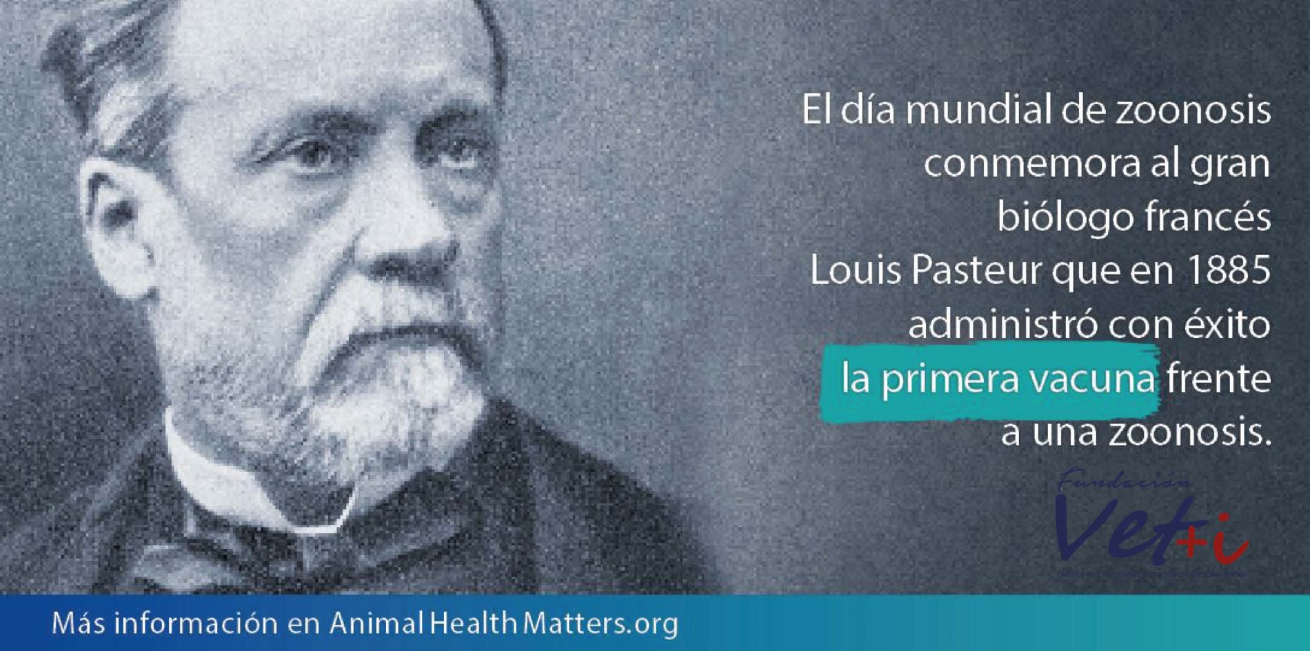 Sanidad Animal, Seguridad Alimentaria, vet+i, vetmasi, fundacion vetmasi, zoonosis