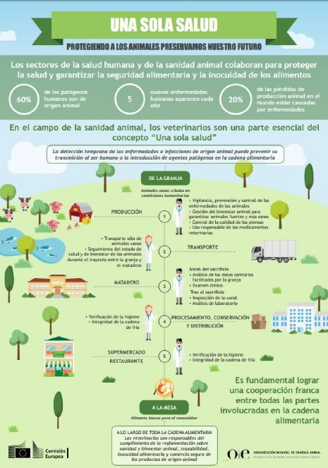 infografia`Una sola salud: protegiendo a los animales preservamos nuestro futuro`