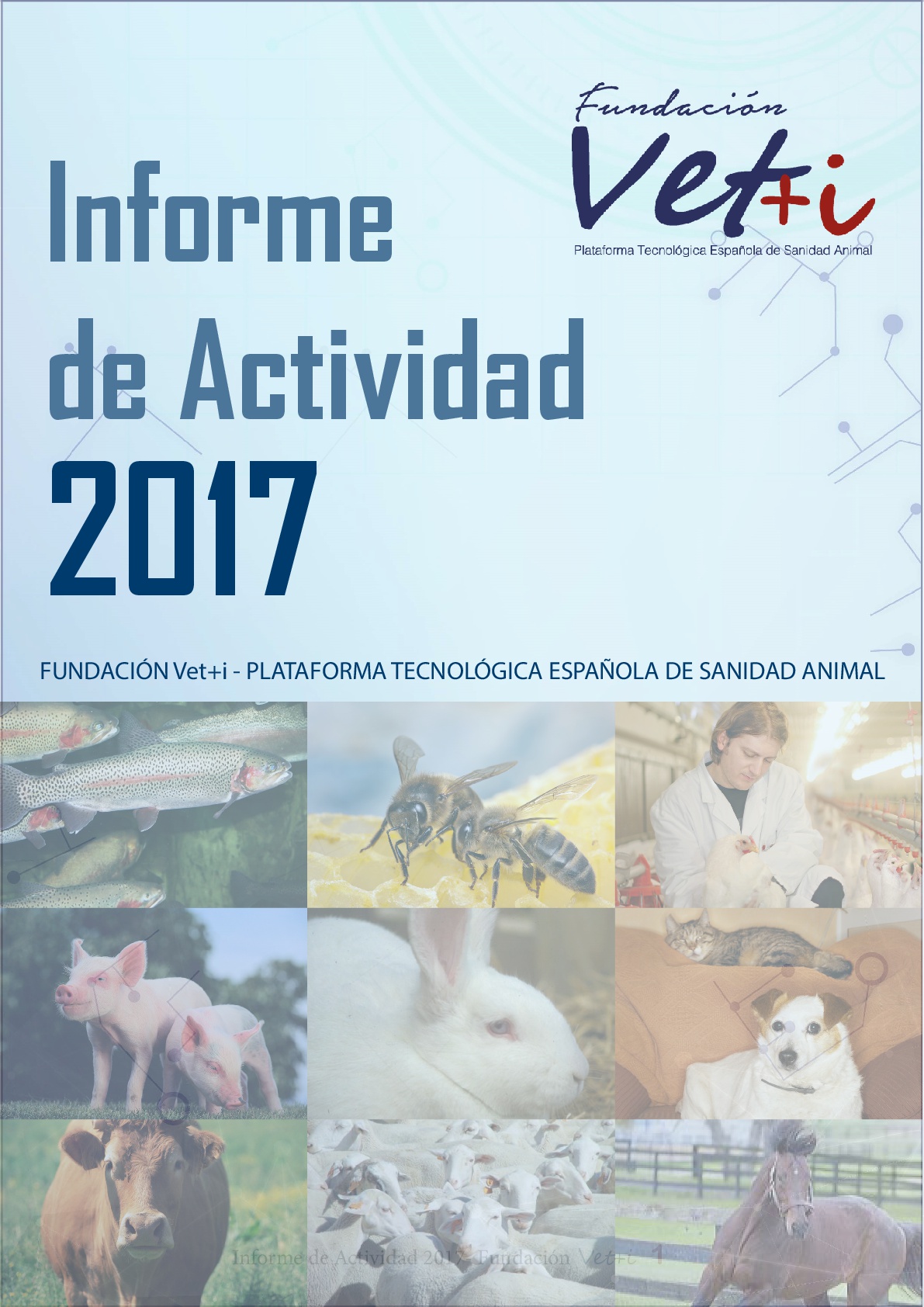 informe