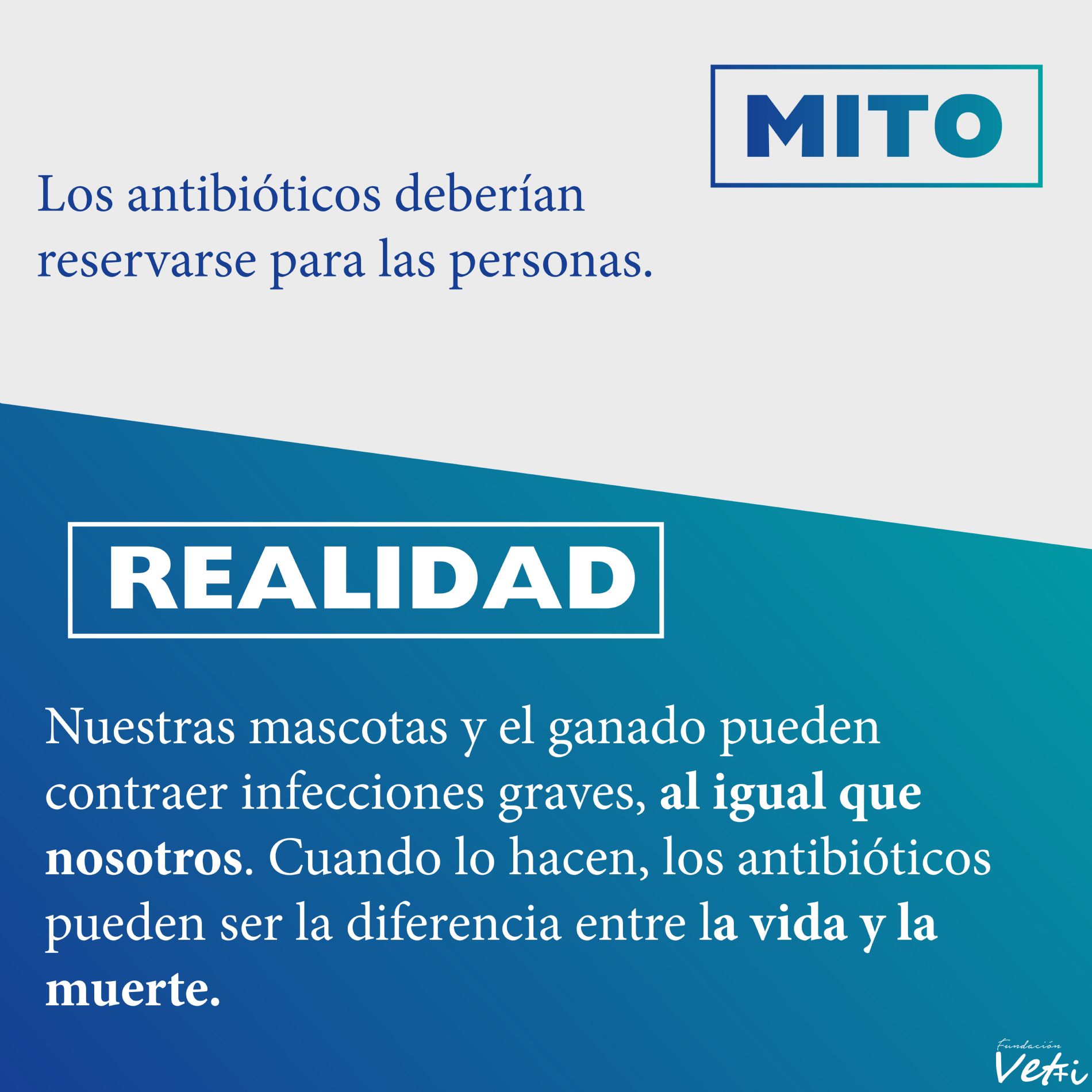 Mitos Vs Realidad