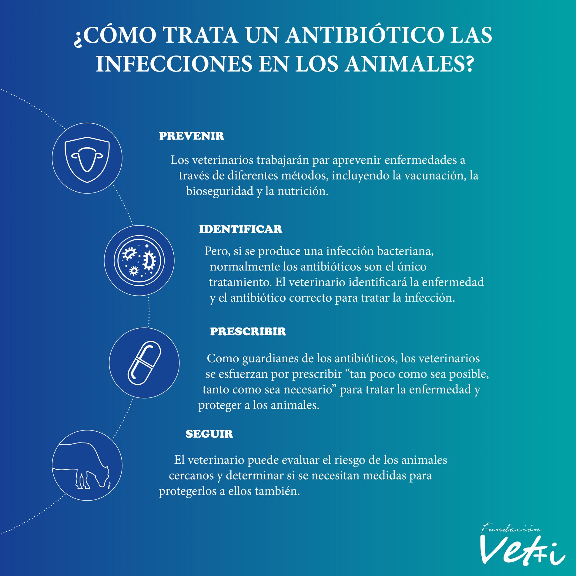 Cmo trata un antibitico las Infecciones en los animales?