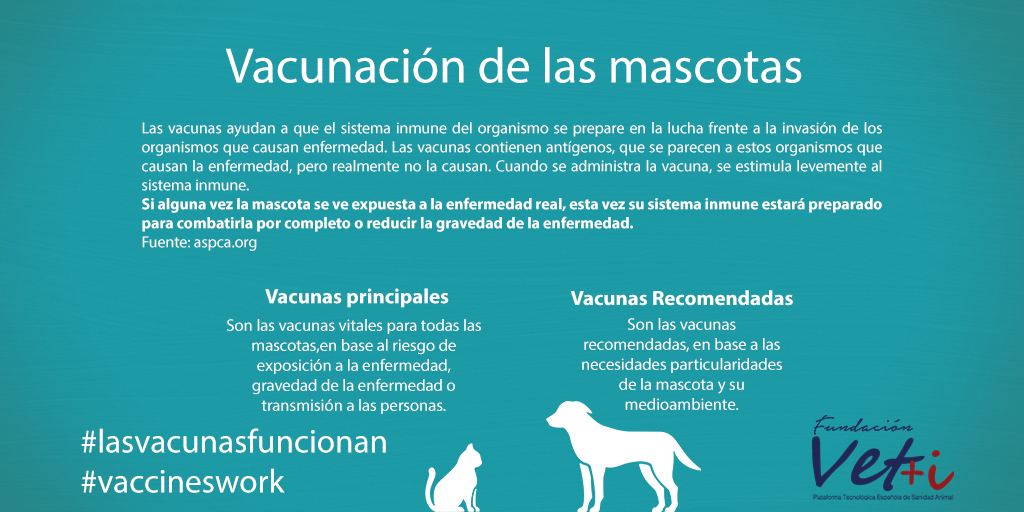 info