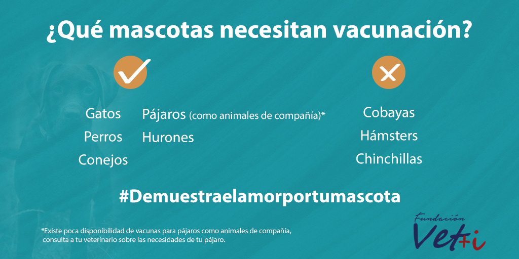 info