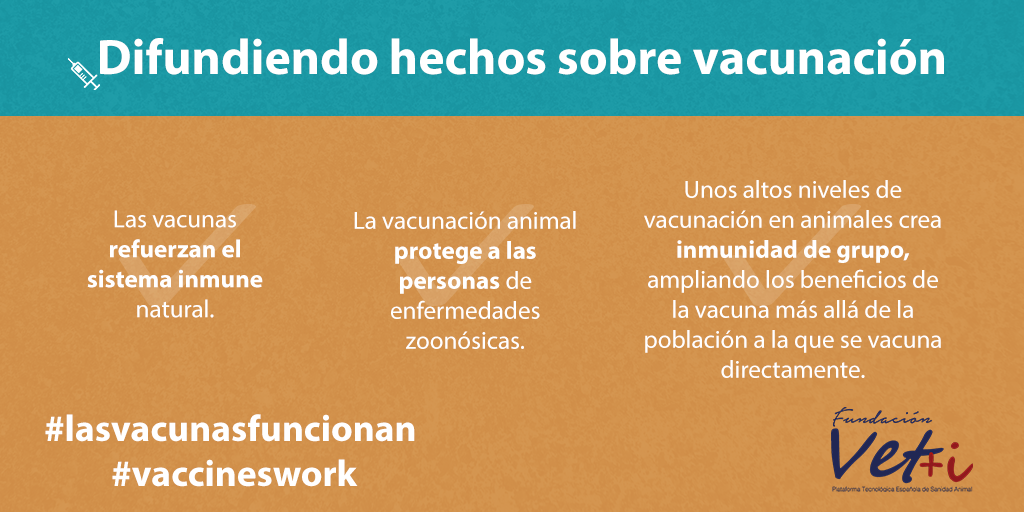 info