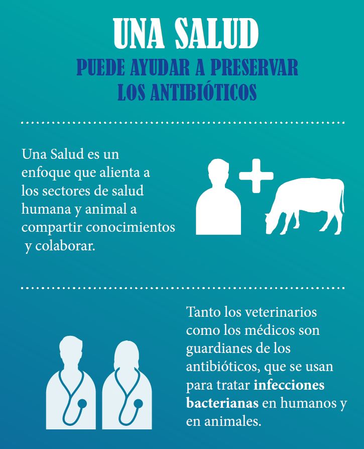 Una Salud puede ayudar a preservar los antibiticos