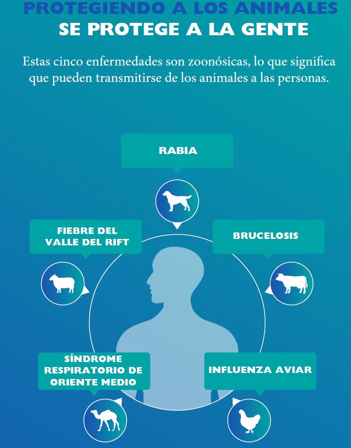 Protegiendo a los animales se protege a la gente