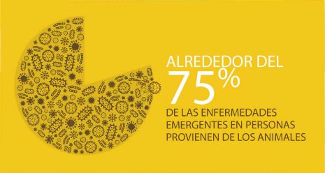 Sanidad Animal, Seguridad Alimentaria, vet+i, vetmasi, fundacion vetmasi, zoonosis