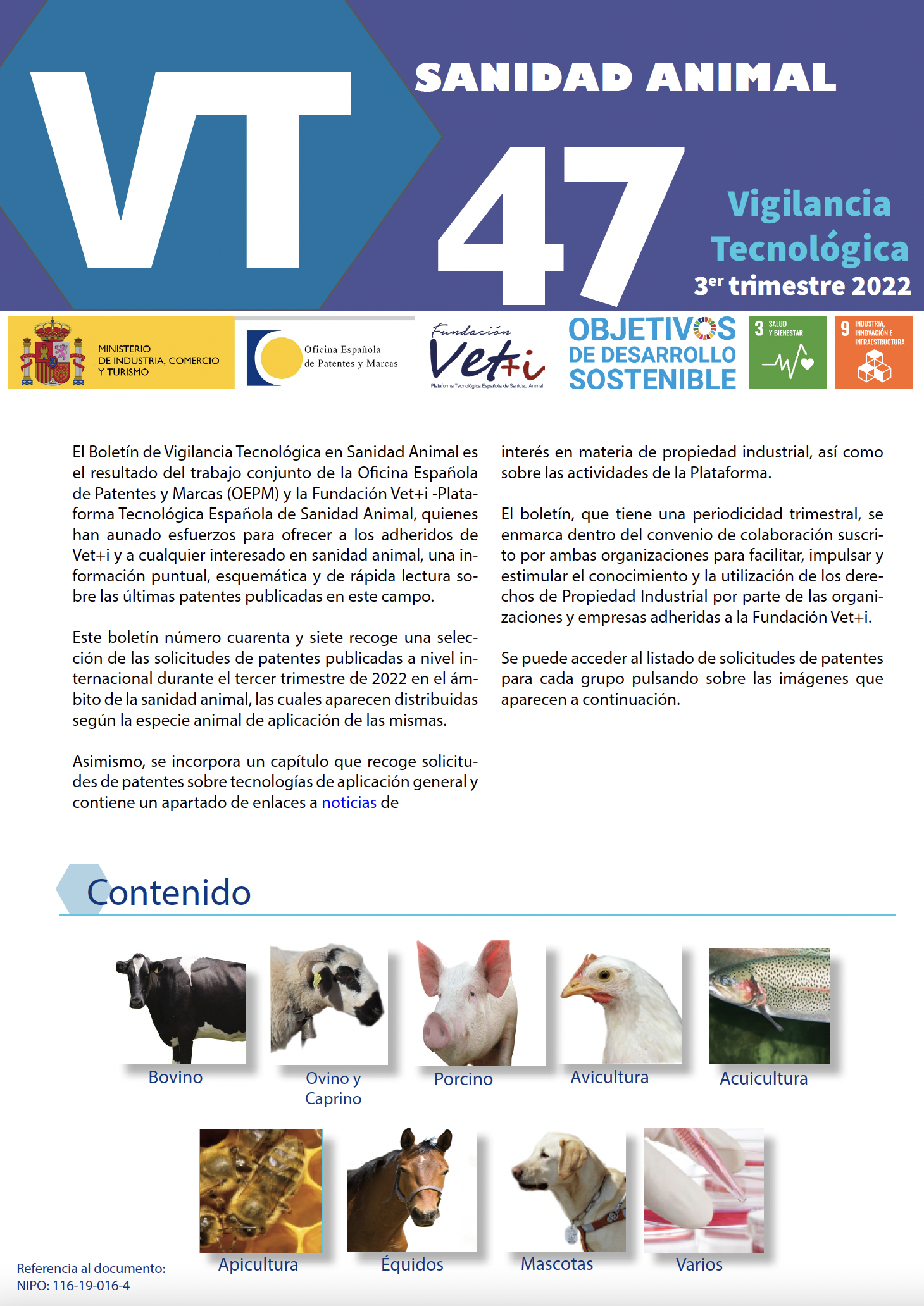 boletn vigilancia