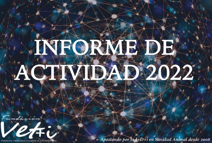 informe anual