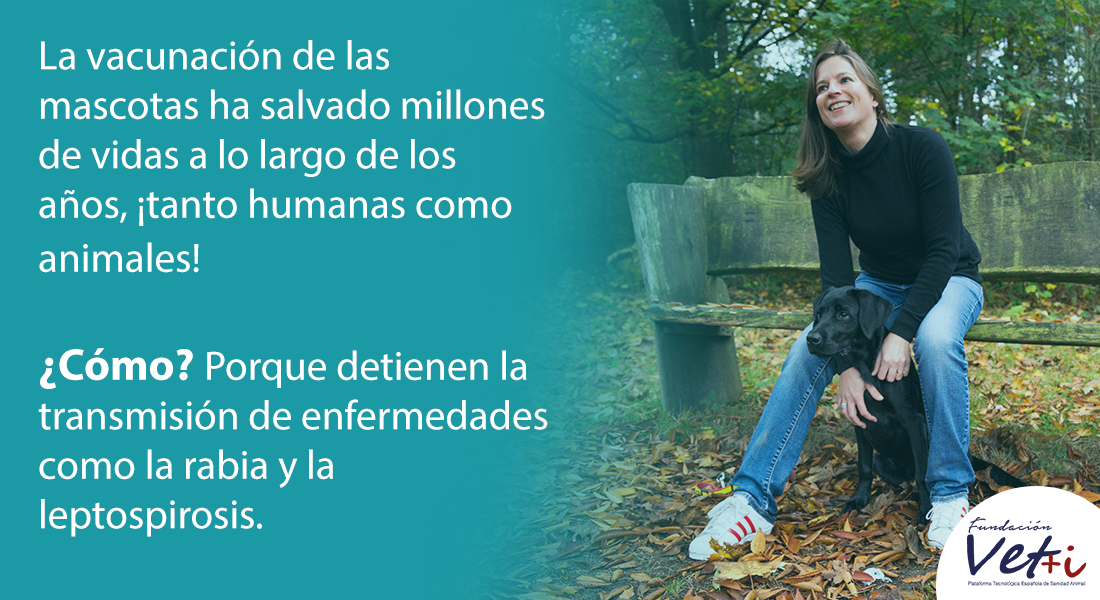 info