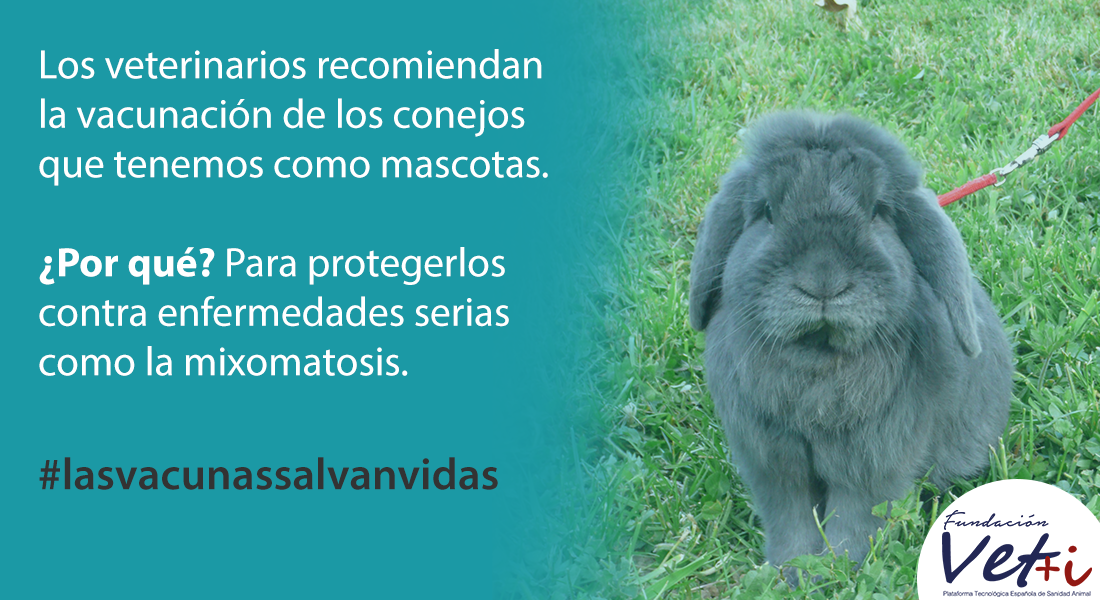info