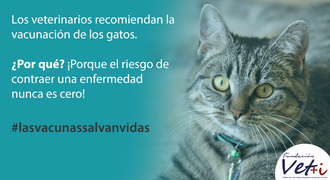 info