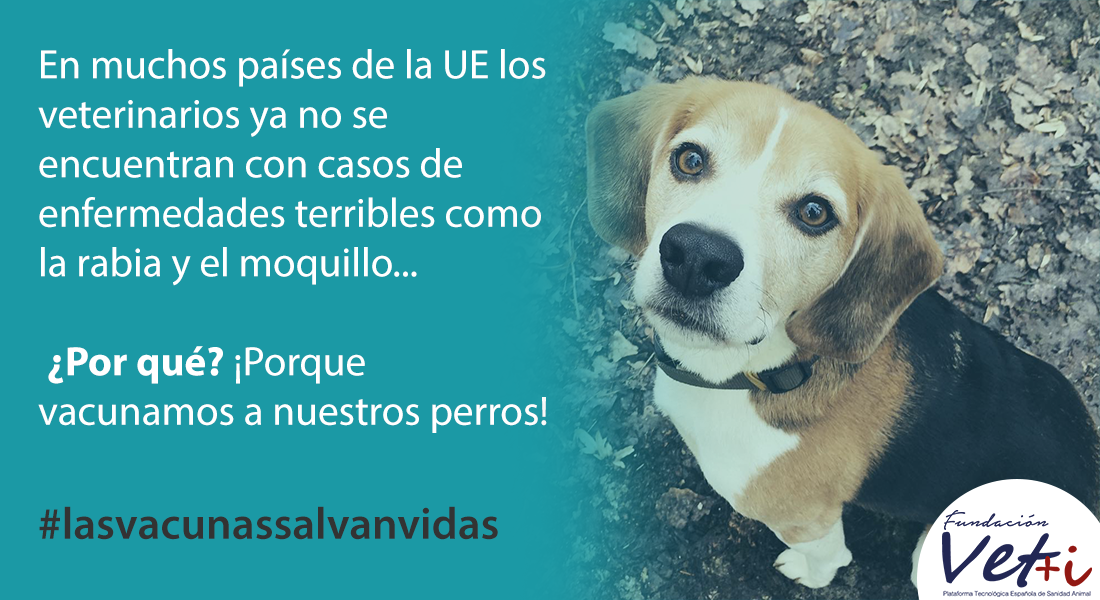 info