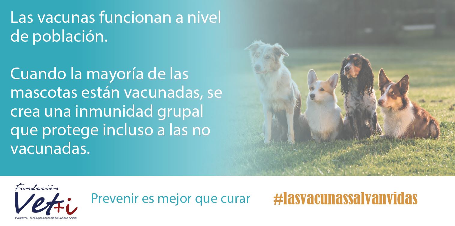 info