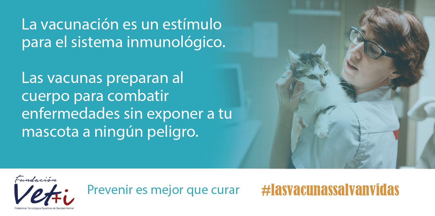 info