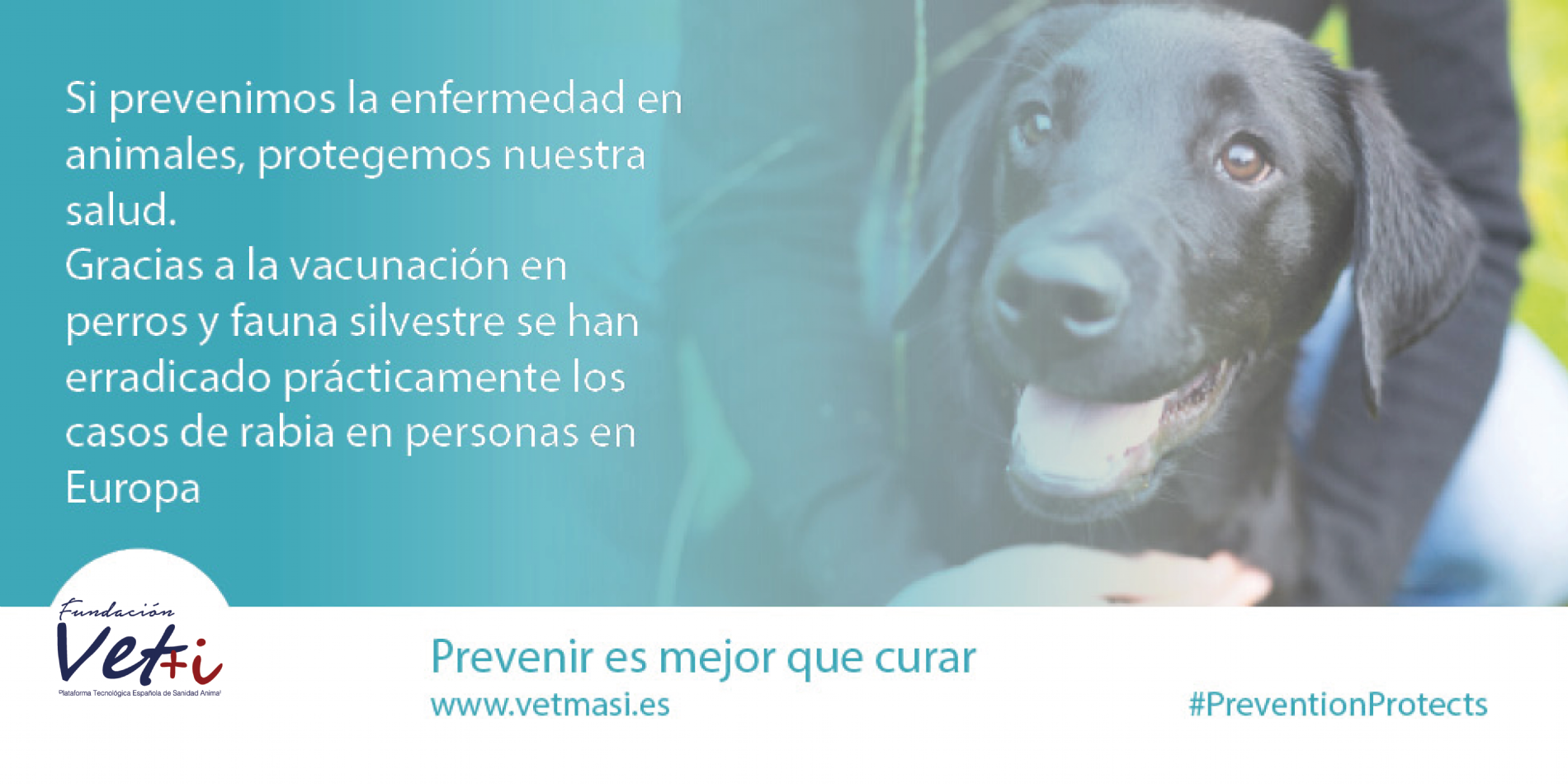 vacunacin