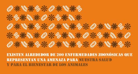 Sanidad Animal, Seguridad Alimentaria, vet+i, vetmasi, fundacion vetmasi, zoonosis