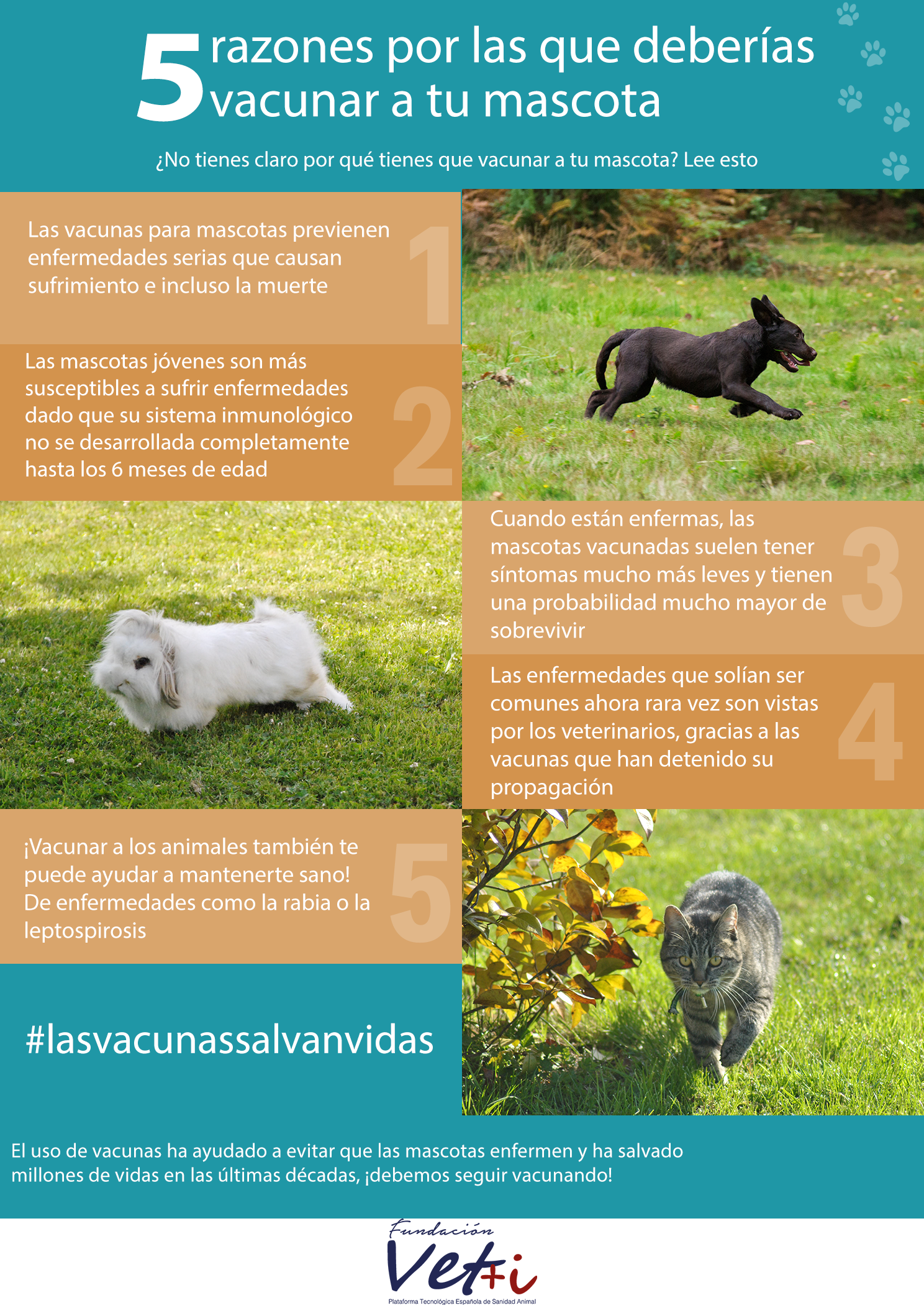 info