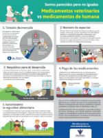 nfografa `Somos parecidos pero no iguales: Medicamentos veterinarios vs medicamentos de humana`