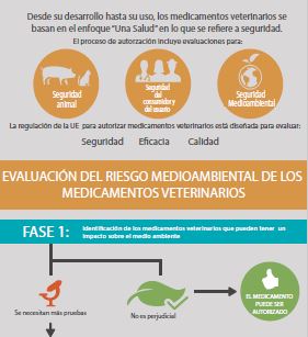 medio
