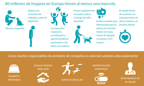 La importancia de la vacunacin en los animales de compaa