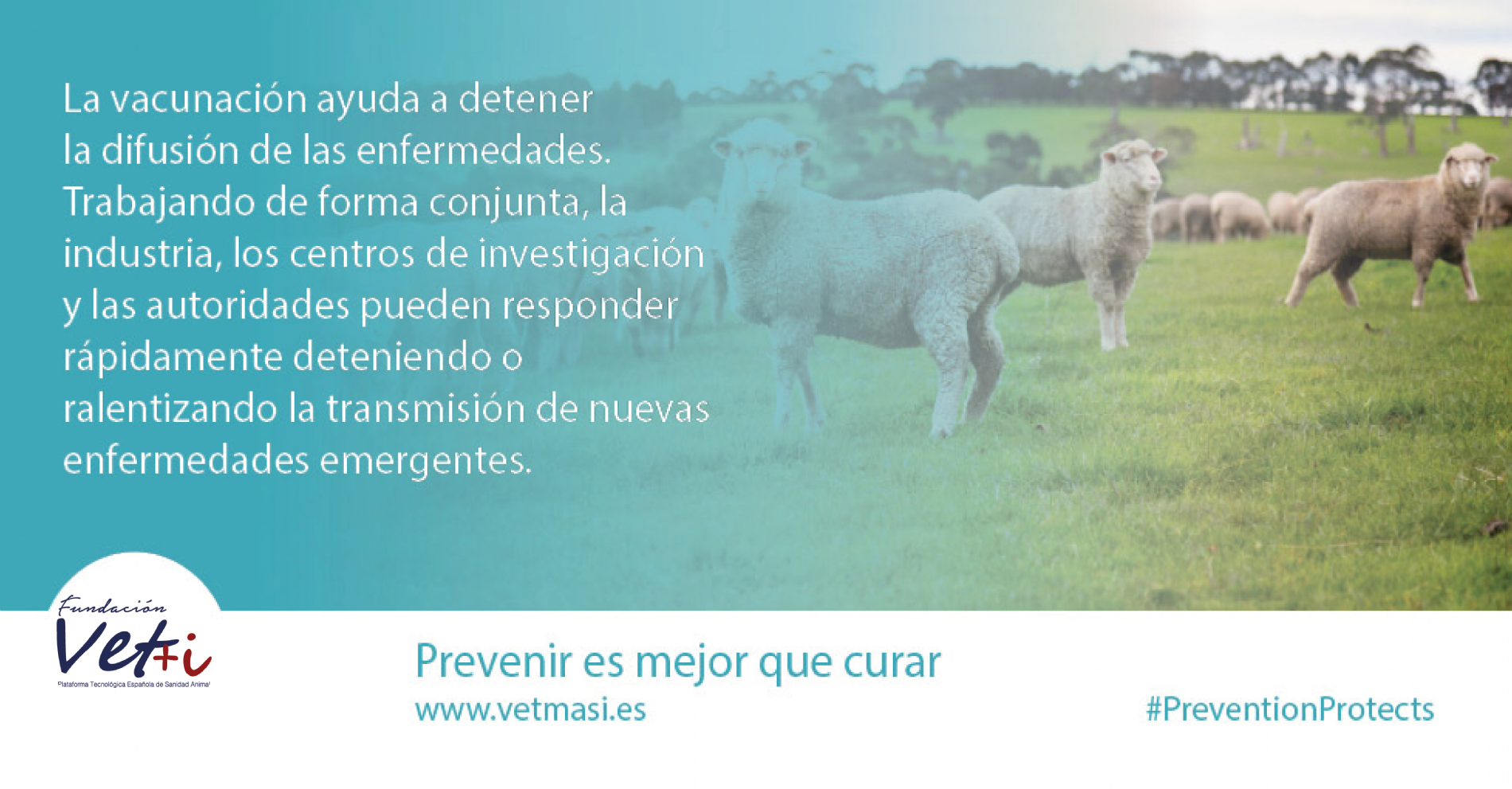 vacunacin