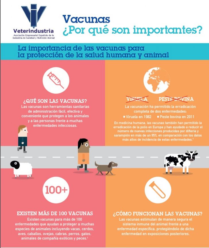 vacunas porque son importantes, vet+i, vetresponsable