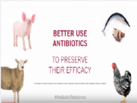 Vdeo de la Organizacin Mundial de la Sanidad Animal (OIE) sobre el uso de los antibiticos