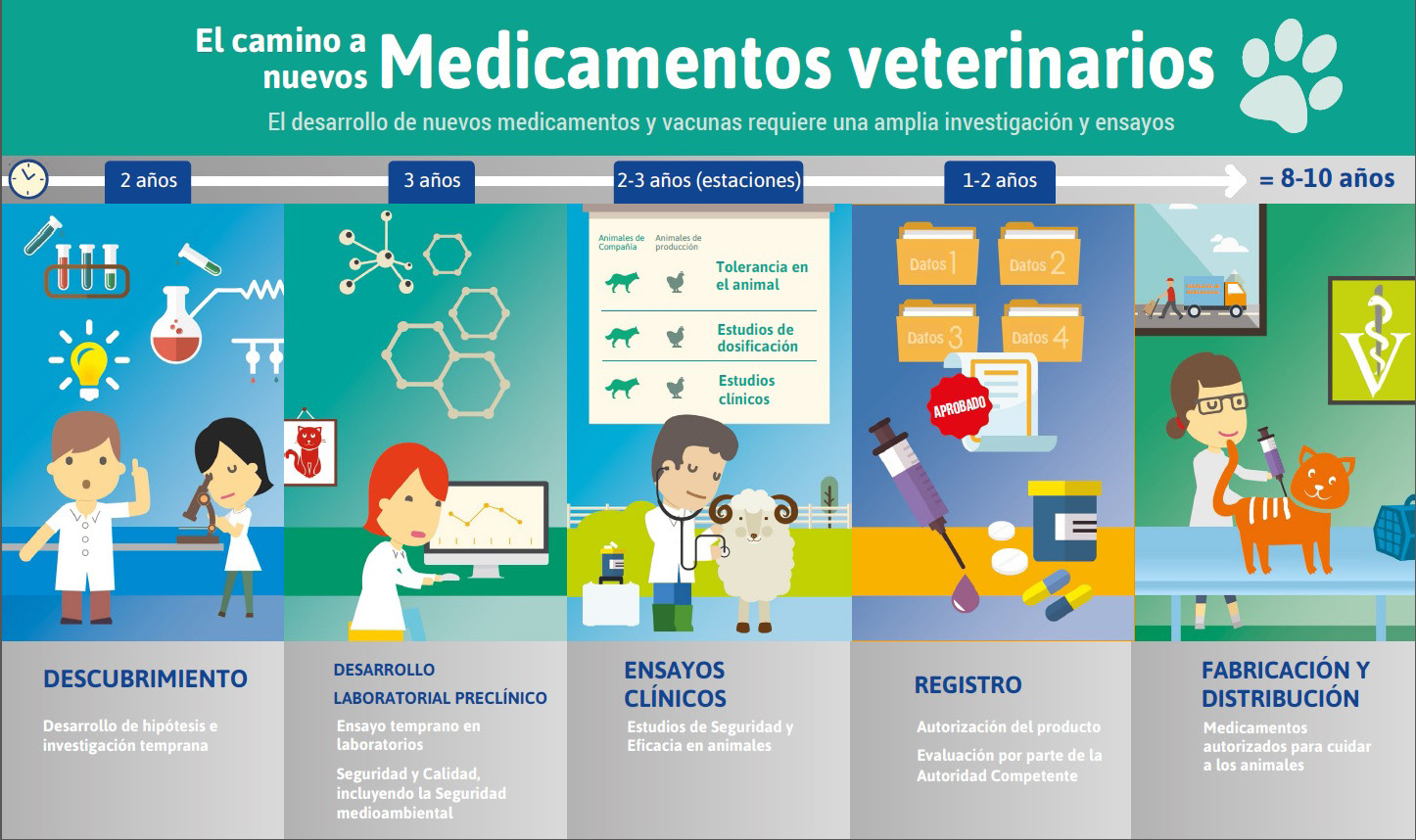 El camino a los nuevos MEDICAMENTOS VETERINARIOS, SANIDAD ANIMAL, Vet+i, vetresponsable