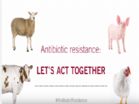 Vdeo de la Organizacin Mundial de Sanidad Animal (OIE) que responde a Qu pueden hacer los ganaderos y los dueos de animales ante las Resistencias a los Antimicrobianos?